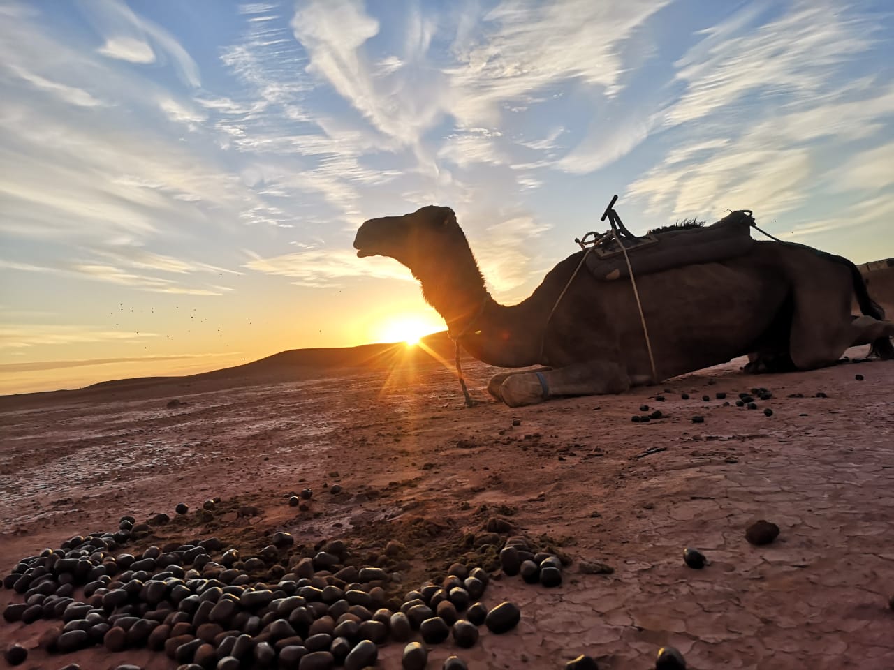 Morocco Private Tours