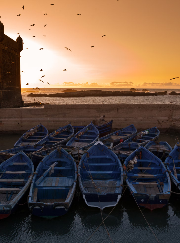 Agence Excursion Marrakech