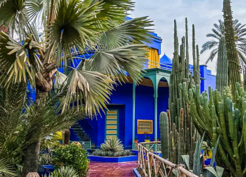 Marrakech or Fes? Decoding the Soul of Morocco’s Imperial Cities
